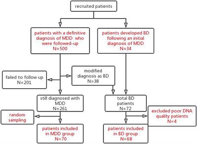 A Predictive Model of Risk Factors for Conversion From Major Depressive Disorder to Bipolar Disorder Based on Clinical Characteristics and Circadian Rhythm Gene Polymorphisms